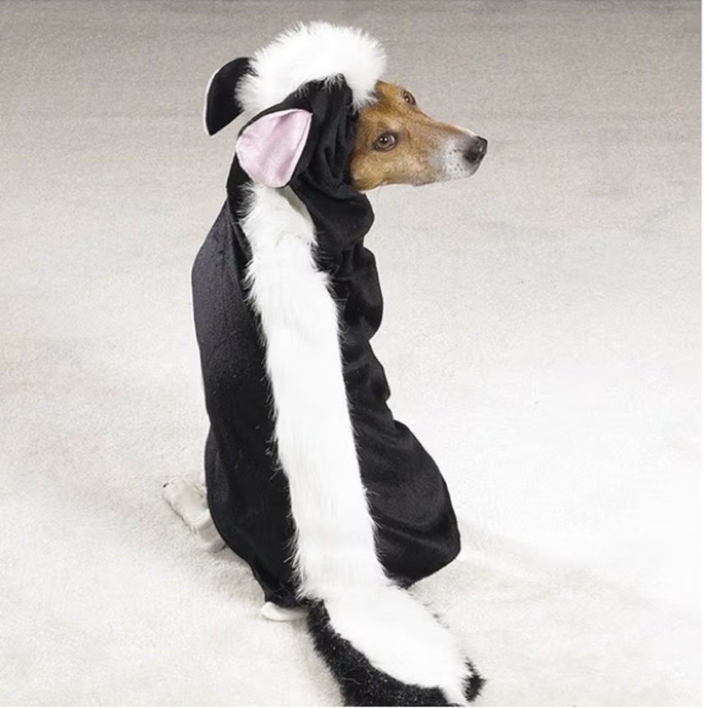 Casual Canine XL Skunk Costume